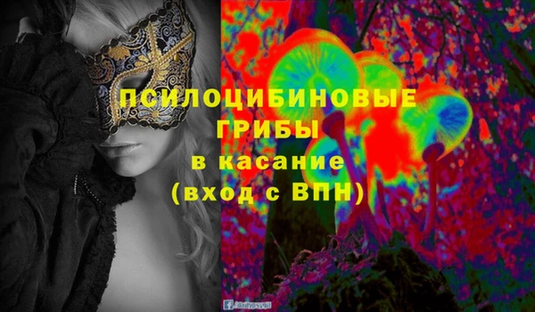 индика Аркадак