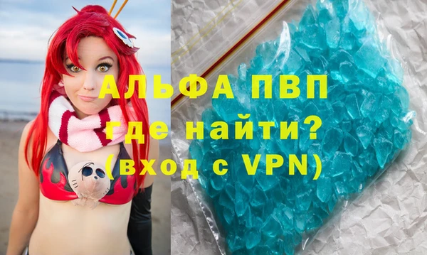 индика Аркадак