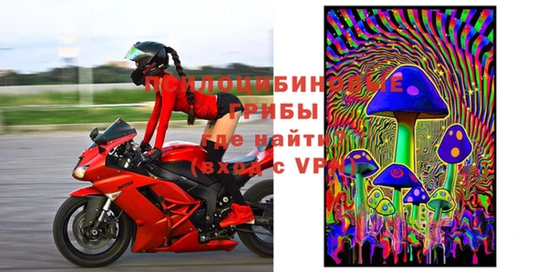 индика Аркадак