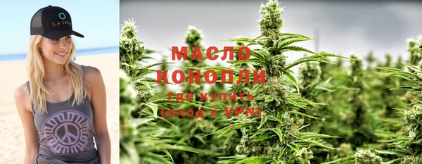индика Аркадак